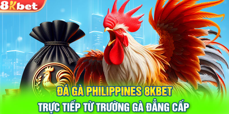 Đá Gà Philippines 8KBET: Trực Tiếp Từ Trường Gà Đẳng Cấp